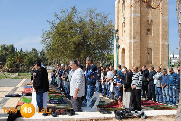 istesqa2 ramla 0201 (11).JPG